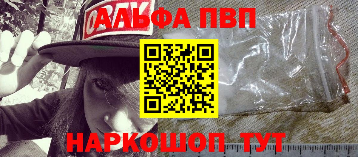 Альфа ПВП СК Выборг