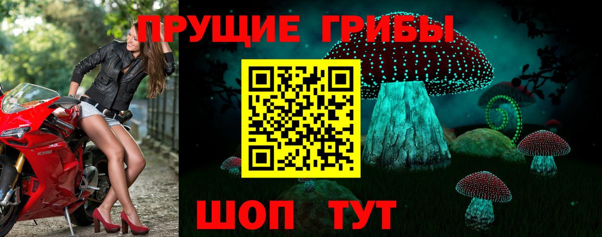 Галлюциногенные грибы Magic Shrooms Выборг