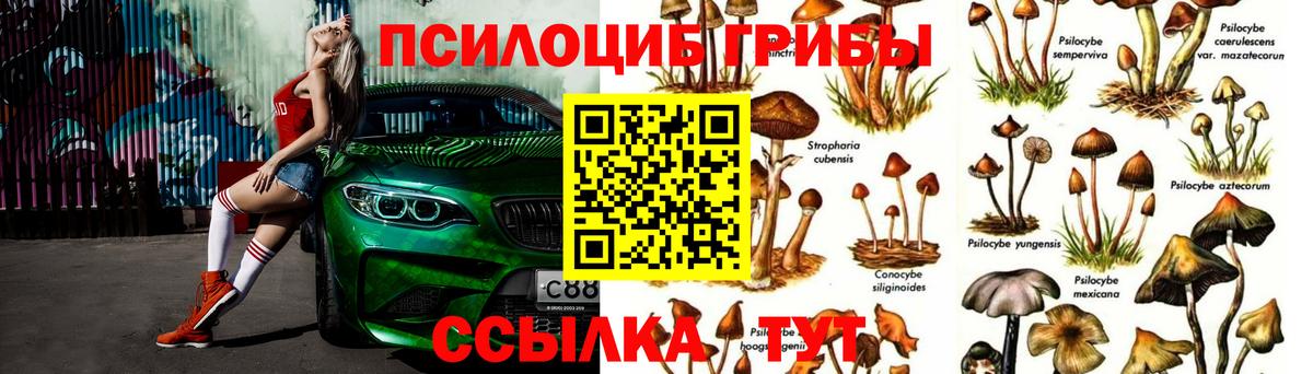 Псилоцибиновые грибы ЛСД  закладка  Выборг  Вход с VPN  Псилоцибиновые грибы Magic Shrooms 